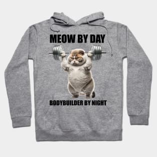 Cat Fitness Lovers Gift Meow By Day Bodybuilder By Night Workout Hoodie